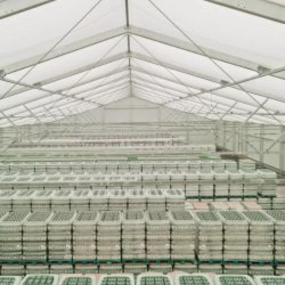 Storage tent for beverage wholesalers Interior view