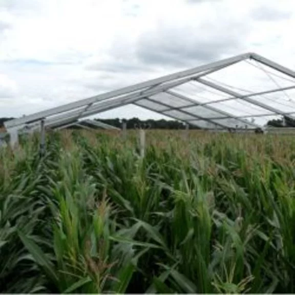 Agricultural tent structure for trial cultivation and monitoring